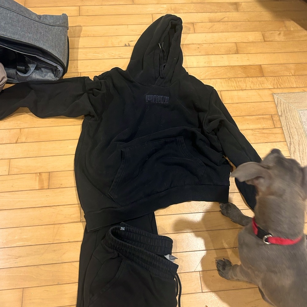 Men’s black puma sweatsuit, Large